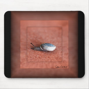 Macro Photograph of Snail on Terracotta Mouse Mat