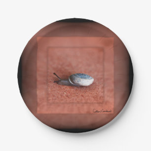 Macro Photograph of Snail on Terracotta Paper Plate