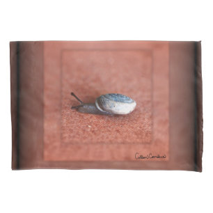 Macro Photograph of Snail on Terracotta Pillowcase