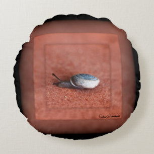Macro Photograph of Snail on Terracotta Round Cushion