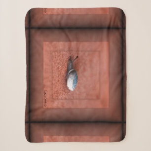Macro Photograph of Snail on Terracotta Sherpa Blanket
