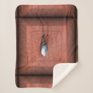 Macro Photograph of Snail on Terracotta Sherpa Blanket