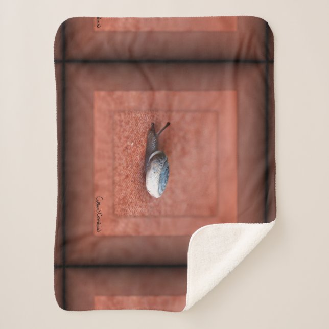 Macro Photograph of Snail on Terracotta Sherpa Blanket (Front)