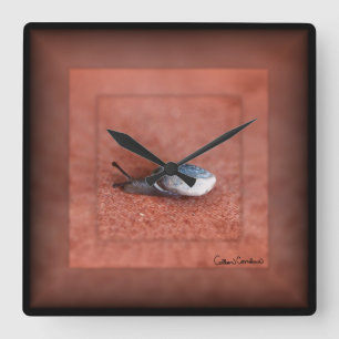 Macro Photograph of Snail on Terracotta Square Wall Clock