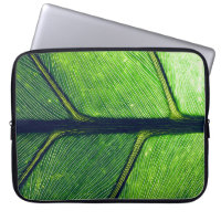 Macro photography of green leaf