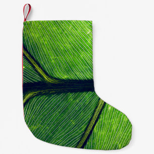 Macro photography of green leaf small christmas stocking