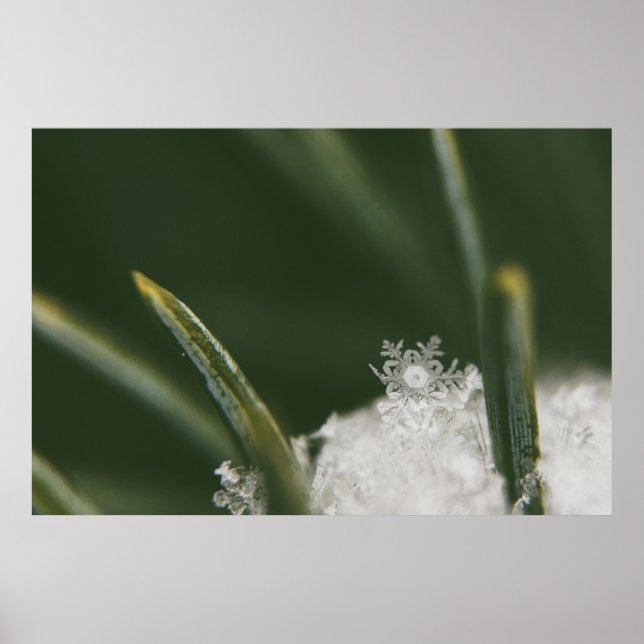 Macro-photography of now crystals poster (Front)