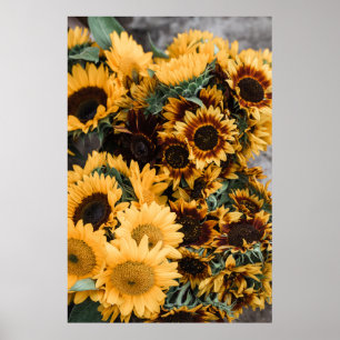 MACRO PHOTOGRAPHY OF YELLOW SUNFLOWERS POSTER