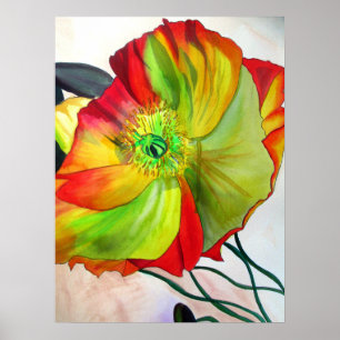 Macro Poppy original watercolour flower art Poster