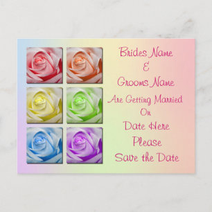 Macro Rainbow Roses Wedding Save The Date Announcement Postcard
