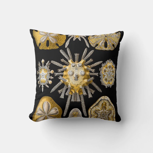 Macro Sea Creatures ~ Sea Urchins Cushions (Front)