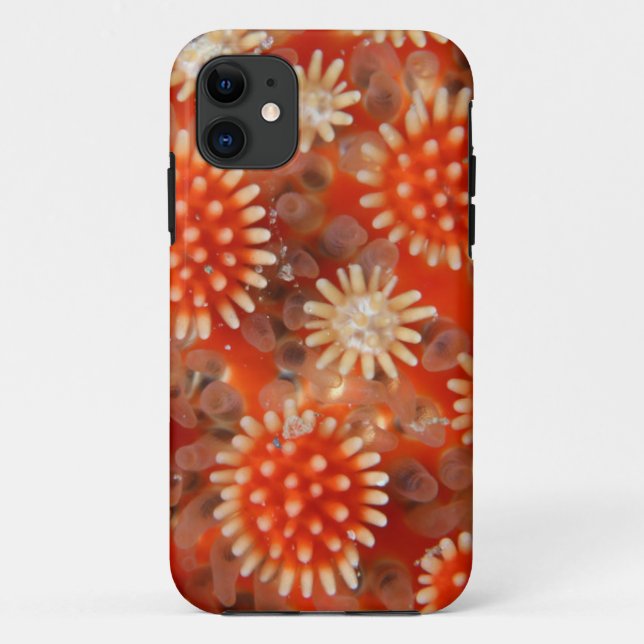 Macro Sea Star Case-Mate iPhone Case (Back)