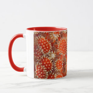 Macro Sea Star Mug