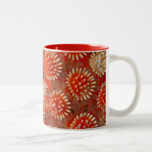 Macro Sea Star Two-Tone Coffee Mug