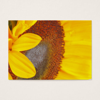 Macro Sunflower Profile Card
