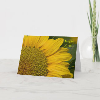 Macro Sunflower With Raindrops Easter Card