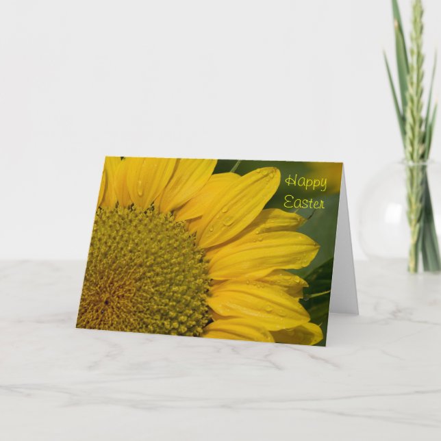 Macro Sunflower With Raindrops Easter Card (Front)