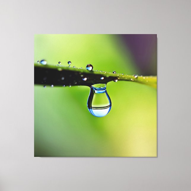 Macro water drops canvas print (Front)