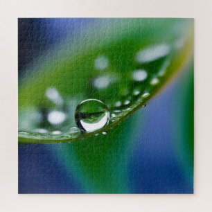 Macro water drops jigsaw puzzle