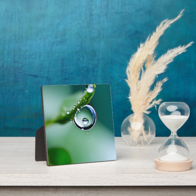Macro water drops plaque (Insitu)