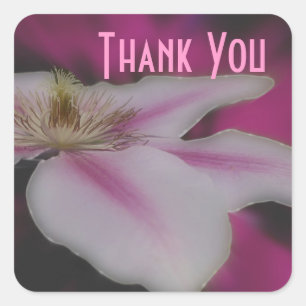Macro White Clematis Flower Thank You Sticker