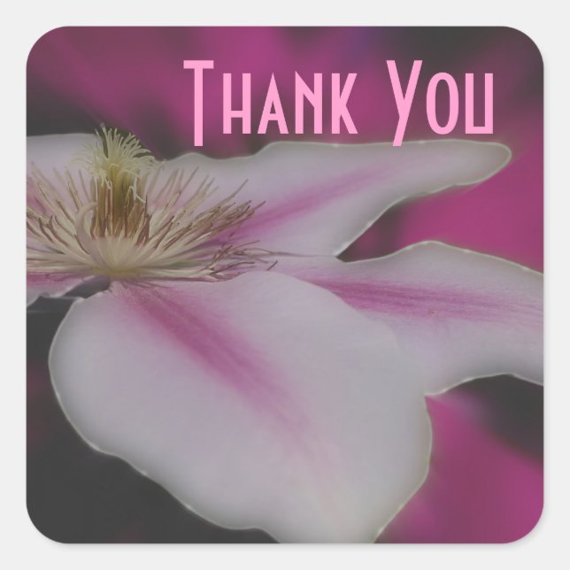 Macro White Clematis Flower Thank You Sticker (Front)