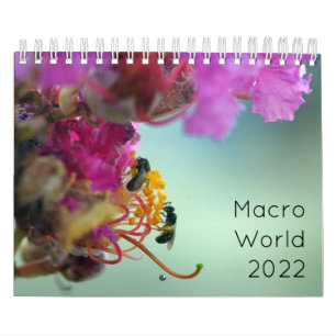 Macro World 2022 Calendar