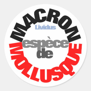Macron espèce de Mollusque Sticker