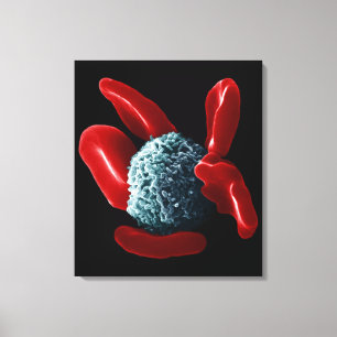 Macrophage Canvas Print