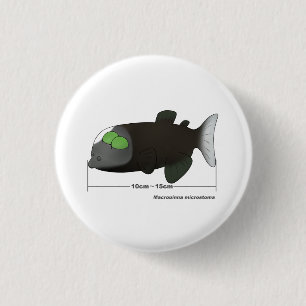Macropinna microstoma actual size 3 cm round badge