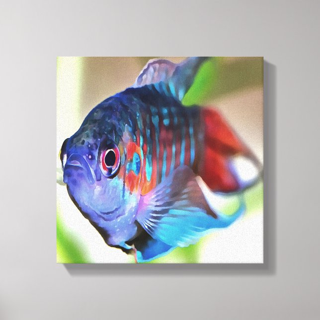Macropodus Opercularis Aquarium Fish Canvas Print (Front)
