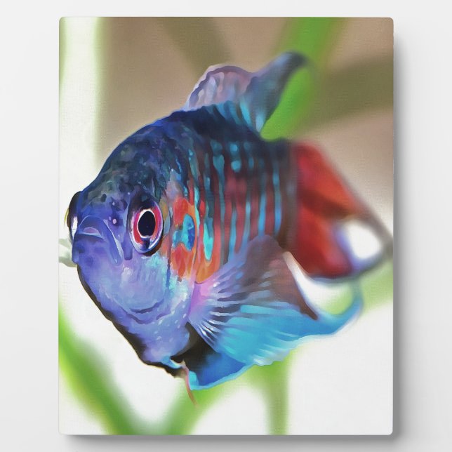 Macropodus Opercularis Aquarium Fish Plaque (Front)