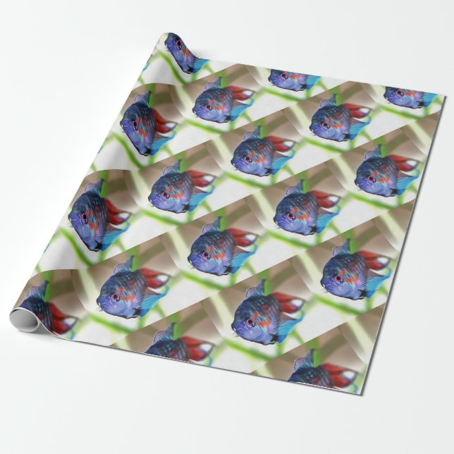 Macropodus Opercularis Aquarium Fish Wrapping Paper (Unrolled)