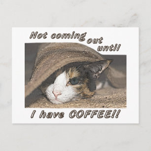 Macy Wants Coffee Too Post Card