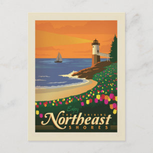 Macy's Flower Show   Northeast Postcard