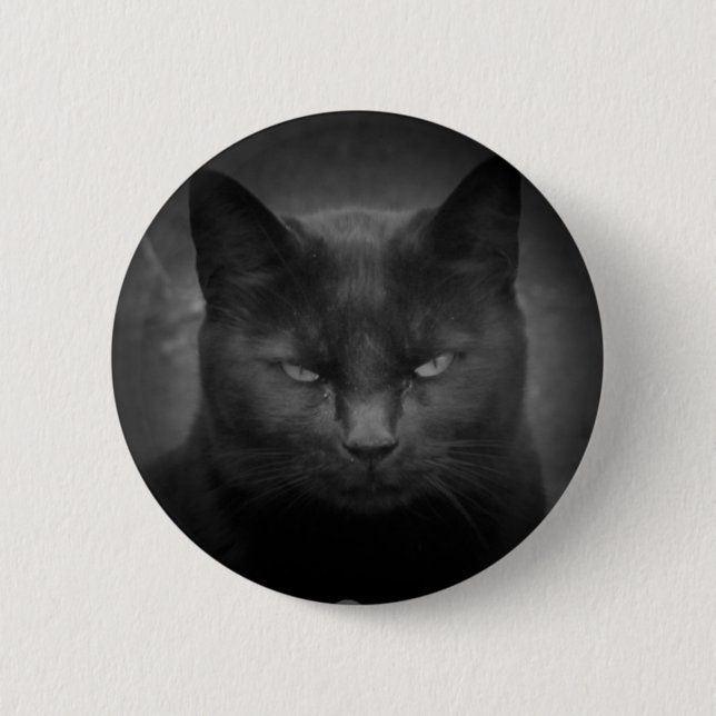 Mad Black cat spotlight 6 Cm Round Badge (Front)