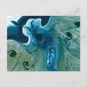 Mad Butterfly Holiday Postcard