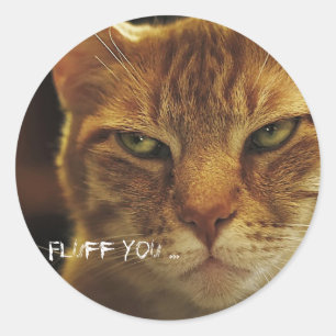 Mad Cat Fluff You Classic Round Sticker