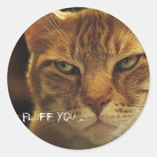 Mad Cat Fluff You Classic Round Sticker