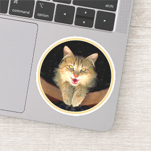 Mad Cat Painting - Cute Original Cat Art