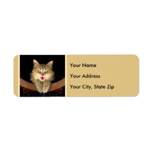 Mad Cat Painting - Cute Original Cat Art