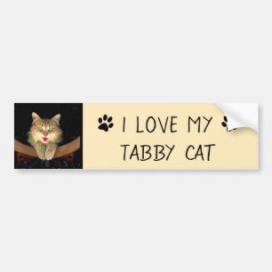 Mad Cat Painting - Cute Original Cat Art Bumper Sticker