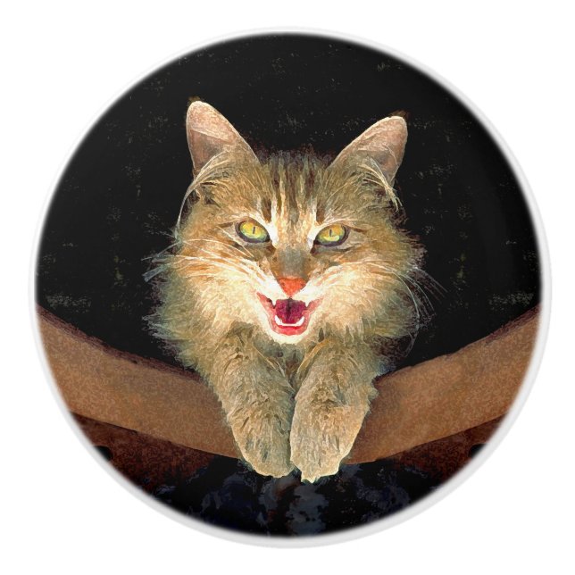 Mad Cat Painting - Cute Original Cat Art Ceramic Knob (Front)