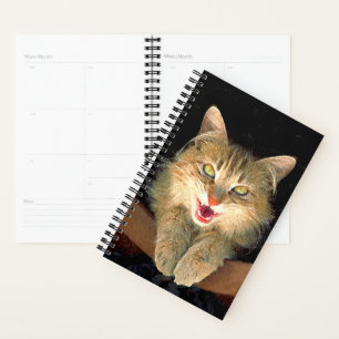 Mad Cat Painting - Cute Original Cat Art Planner