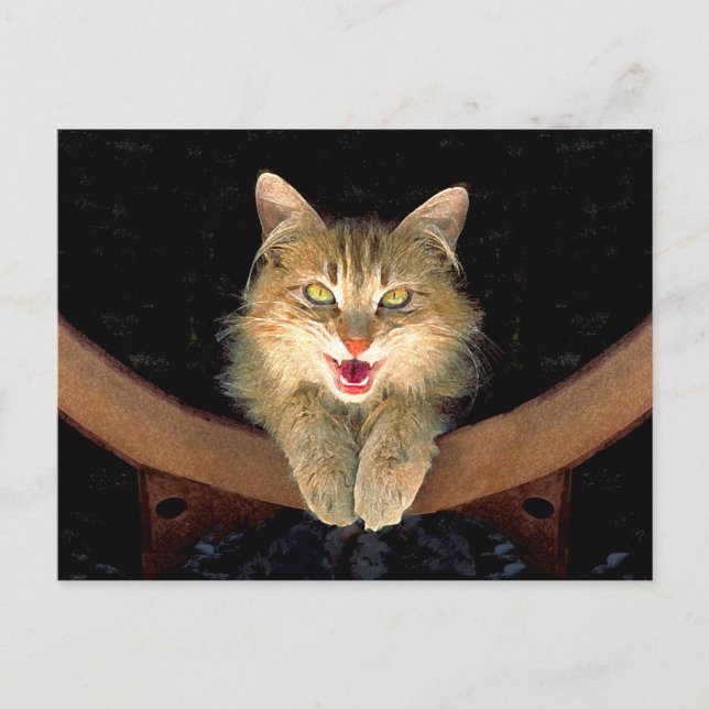 Mad Cat Painting - Cute Original Cat Art Postcard (Front)