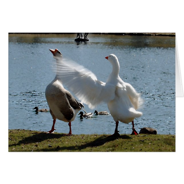 Mad Goose Card (Front Horizontal)