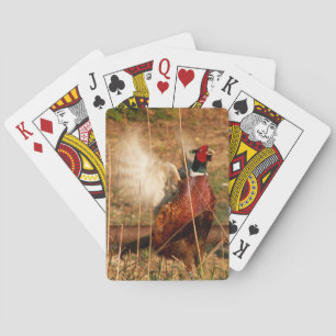 Mad Pheasant Playing Cards
