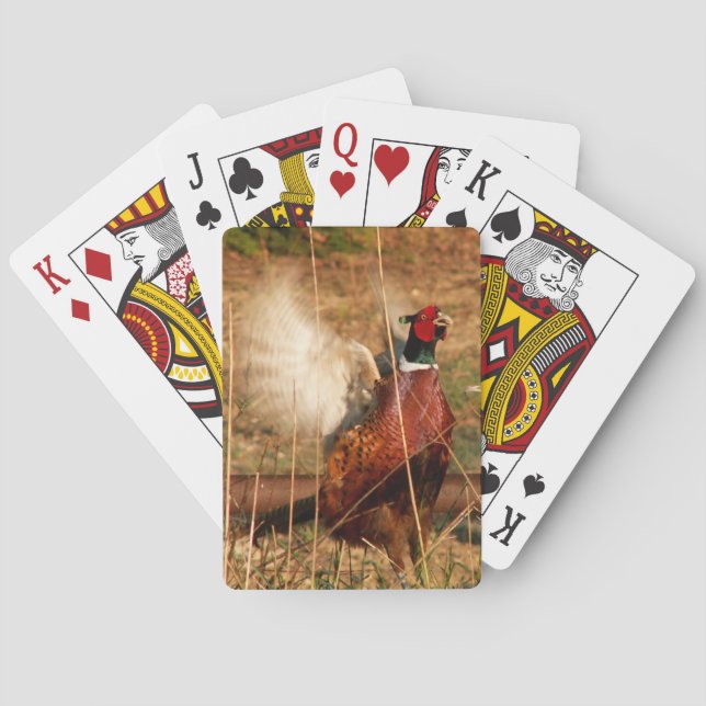 Mad Pheasant Playing Cards (Back)