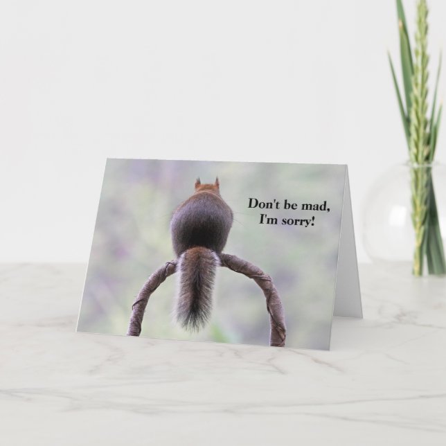 Mad Squirrel Card (Front)