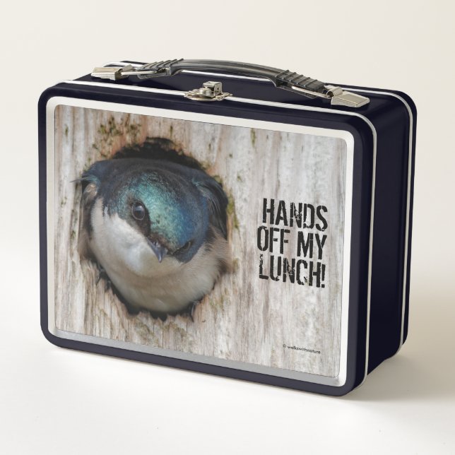 Mad Tree Swallow Songbird in Nestbox Metal Lunch Box (Front)